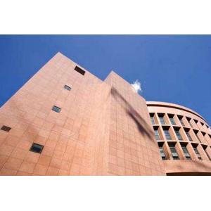 Wholesale Natural Chinese Wall Cladding Peninsula Red Granite, G386 Red Granite