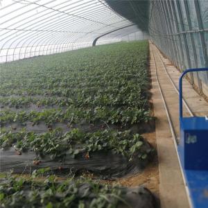 Buy cheap Automatic Air Circulation Solar Passive Greenhouses Customized from wholesalers