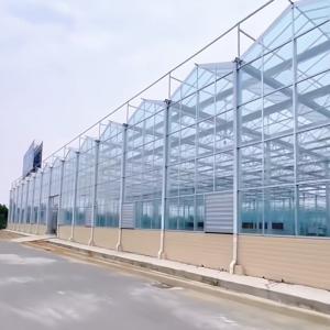 Glass Greenhouse Hydroponic Vegetable System for Maximum Water Efficiency