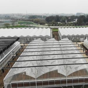 Tropical Plastic Film Multi-Span Poly Tunnel Greenhouse With Enhanced Cooling