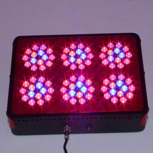 China High power led grow Apollo 6 Modules 90pcs 3W LEDs chipset with Fedex/DHL dropship worldwi on sale