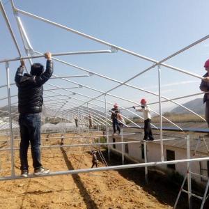 Buy cheap Greenhouse With Manual Or Motor Roll Up Vent System For Natrual Ventilation from wholesalers