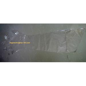 Buy cheap Cornstarch Made Biodegradable Compostable Disposable Food Hand Disposable Transparent Gloves, Long sleeves from wholesalers