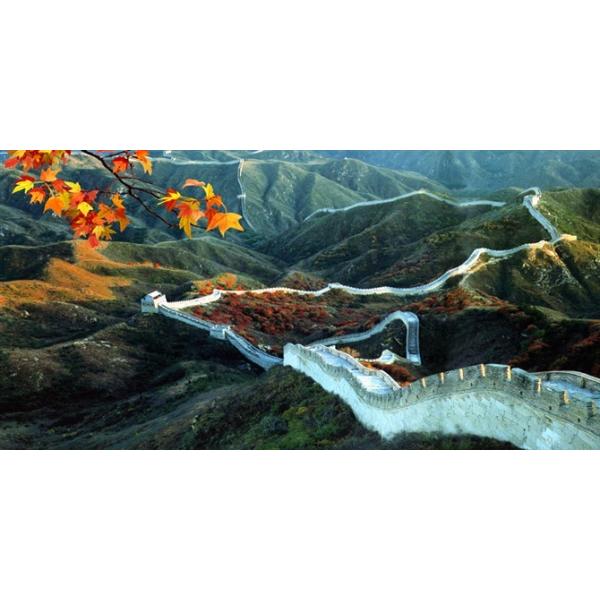 Quality PLASTIC LENTICULAR 3d picture lenticular printing price pet lenticular 3d wall pictures for sale