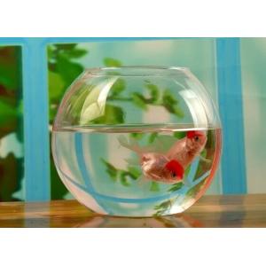 hand blow glass terrarium fish tank decoration glass container 10cm diameter and