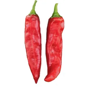 Buy cheap All Natural Dried Paprika Peppers with Mild Heat Level from wholesalers