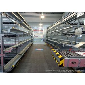 Buy cheap High Efficiency Egg Collection Systems Easy To Use And Manage For Chickn Farm Used product