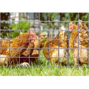 Buy cheap Electro Galvanized Welded Wire Mesh with 50M Roll Length and 0.5m Width for Animal Enclosures from wholesalers