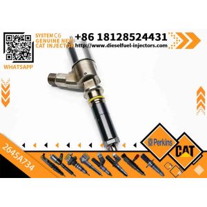 Fuel Injector 2645A718 2645A734 2645A747 for Perkins 1104D-E44TA Diesel Engine