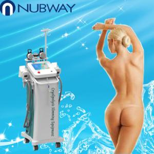 Buy cheap New design cryolipolysis slimming machine / body sculpting antifreeze vacuum machine for s from wholesalers