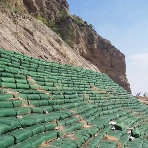Buy cheap Engineering Grade Nonwoven PP/PET Needle-Punched Geotextile Geobag for Coastal Protection, Embankment Stabilization, and Erosion Control from wholesalers