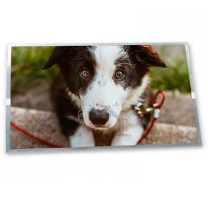 China 17.3  3840*2160  Tft  LCD Panel B173ZAN01.4    Display Monitors on sale