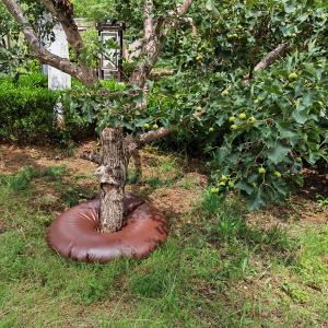 Buy cheap 15 Gallon 20 Gallon Portable Drip Irrigation Slow Release Ring Tree Watering Bag for Agriculture from wholesalers