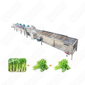 Bubble Cleaning Vegetable And Fruit Washing Machine Tomato Fruit Washer Machine