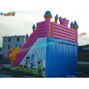 Cute Mickey Mouse Commercial Inflatable Slide / Customized Inflatable Zip Slide