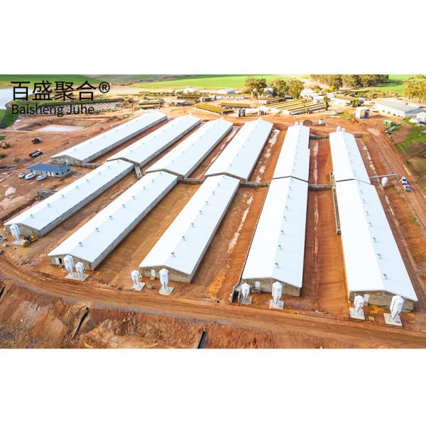 Buy cheap Customized Steel Poultry Farming Equipment for Chicken House Design and Construction from wholesalers