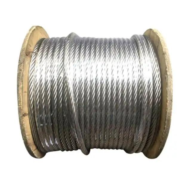 Quality 7*19 8mm 10mm 12mm 316 Stainless Steel Crane Wire Rope with Loop for sale