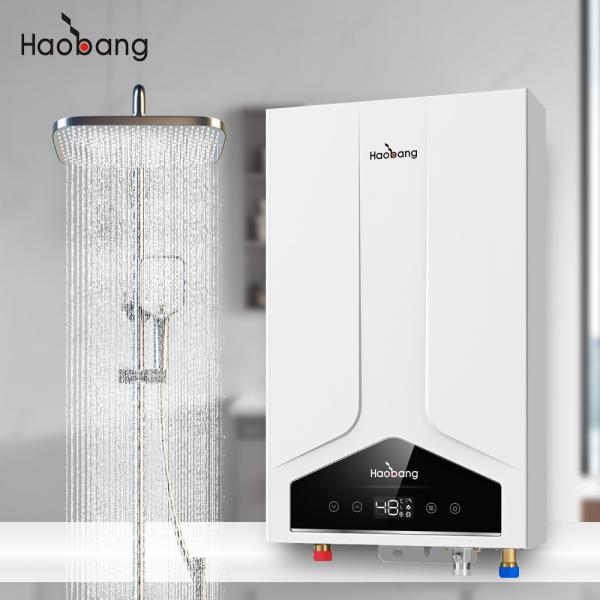 Quality Lower Inlet And Upper Inlet Water Outlet Method Balanced Flue Gas Water Heater with Customization Configuration for sale
