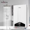 Lower Inlet And Upper Inlet Water Outlet Method Balanced Flue Gas Water Heater with Customization Configuration for sale