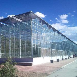 Buy cheap Glass Multi Span Greenhouse Tropical Solar Hydroponic Flower Vegetable Growing from wholesalers