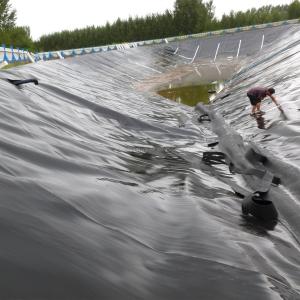Black Hdpe Geomembranes 0.75mm for Plastic Fish Pond Lagoon Lake Dam Liner in