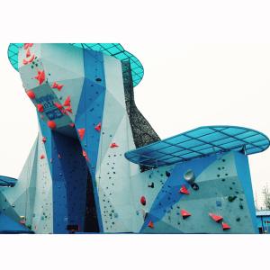 NO Inflatable Experienced Climber Rock Climbing Holds with Max Capacity 100
