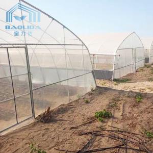 Single-span PE Covered Tunnel Plastic Greenhouse For Strawberry Grape Raspberry