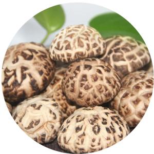Buy cheap Brown Lions Mane Mushroom Extract Dried Shiitake Mushroom 1kg/bag from wholesalers