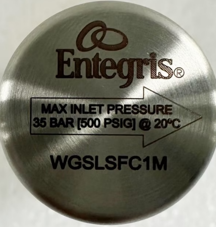 Entegris. Wafergard II F Micro In-line Gas Filters WG2FT1SS2 In Stock