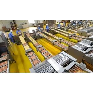 Buy cheap Industrial Chicken Egg Washing Machine Automatic Chicken Egg Processing Line from wholesalers