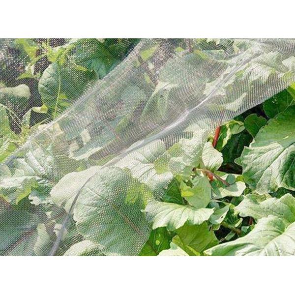 Buy cheap Insect-Proof Net, Crops Protection Net Against Insects And Pests from wholesalers