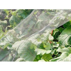 Buy cheap Insect-Proof Net, Crops Protection Net Against Insects And Pests from wholesalers
