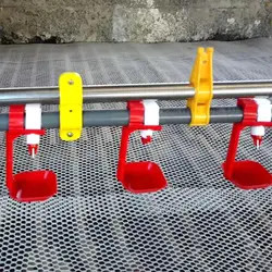 Customizable Poultry Feeder Drinker for Chick Feeding