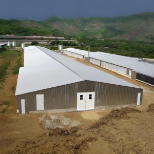 Buy cheap Customization Prefabricated Steel Structure Poultry House For 10000 Chickens from wholesalers