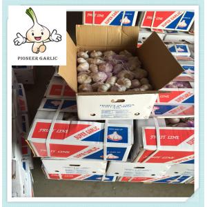 Buy cheap High Quality white garlic / red garlic / purple garlic Pure White Garlic from wholesalers