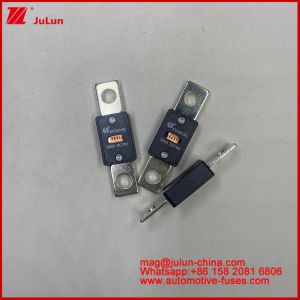 Buy cheap EV320 5X 5C plate-type bolt connection Transparent window fuse 80A 100A 125A 150A 450A 70VDC Current Auto-Blade Fuses 200A 58VDC Automotive Fuse Bolt On Screw Type ANS Bolt Down Fuses from wholesalers