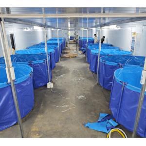 Buy cheap 7000 Liters Diameter 3m X Height 1m Square/Round Fish Pond 1800 Gallon Foldable Plastic Tank Swimming Pool For Promotion from wholesalers