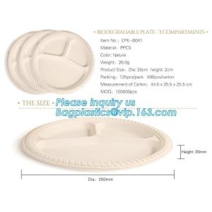 Eco Friendly Biodegradable Sugarcane Bagasse Plates Disposable,Sugarcane Bagasse