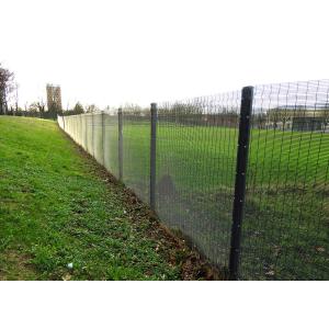 Farm Anticlimb Fencing And Gate With 358 Welded Mesh Panel