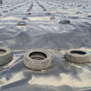 HDPE Pond Liner Plastic Liner Waterproofing Geo Membrane Impermeable Geomembrane