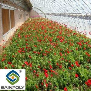 Buy cheap Galvanized Agriculture Vertical Commercial Hydroponic Greenhouse Multi Span from wholesalers