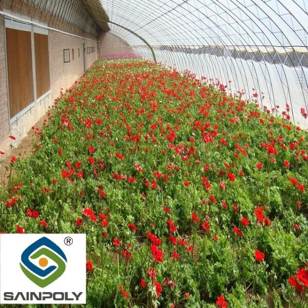 Buy cheap Galvanized Agriculture Vertical Commercial Hydroponic Greenhouse Multi Span from wholesalers