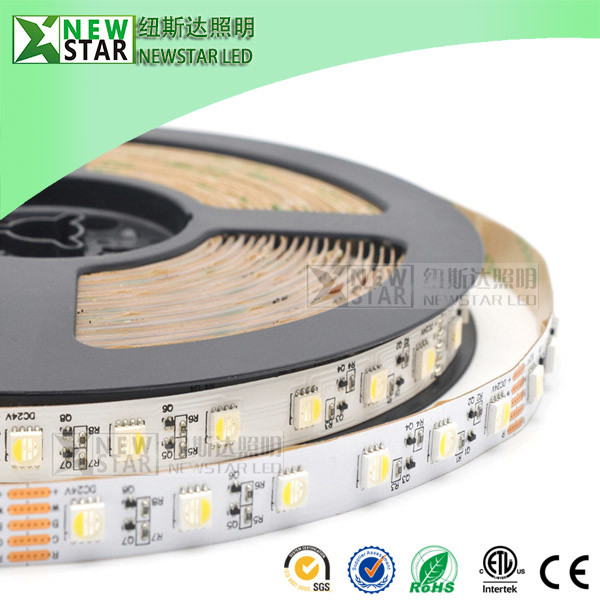 RGBW CC type 15m 5050 Led Strips 60leds Constant current RGBW LED tape full