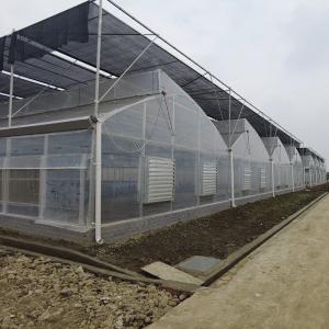 Buy cheap Tropical Plastic Film Multi-Span Poly Tunnel Greenhouse With Enhanced Cooling Systems from wholesalers