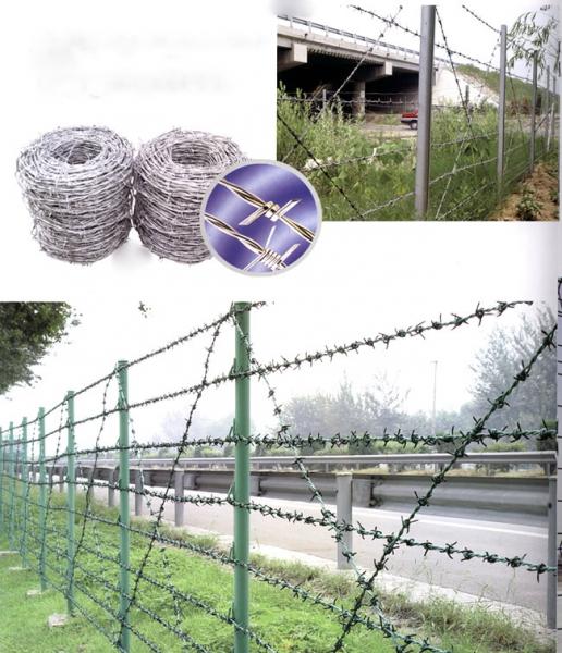 China supplier (BWG14x14 or BWG16x16 with1.6 mm 2.1mm 2.5mm wire diameter)hot dipped barbed wire (Direct Factory)