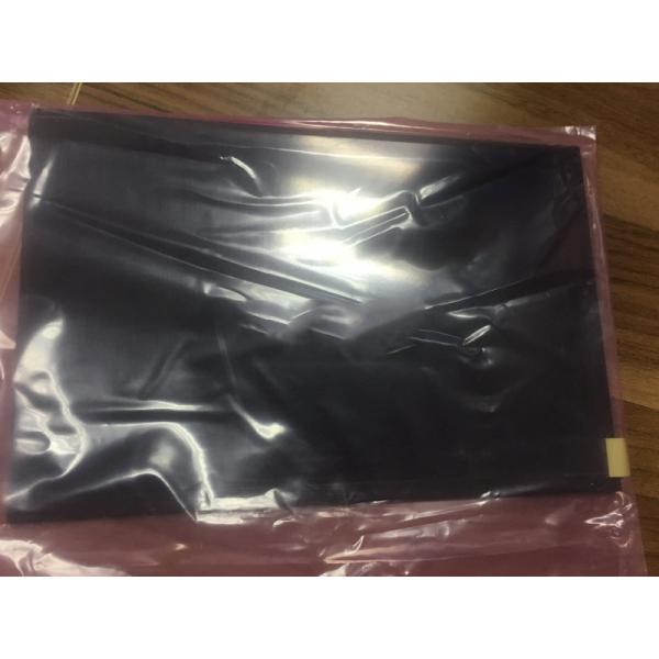 High Brightness AUO LCD Panel G101UAN02.0 Without Touchscreen