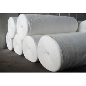 China White Polyester Filament Geotextile Fabric Retaining Wall 300g on sale