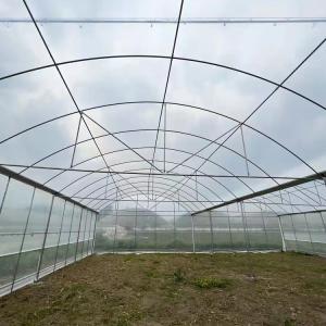 Buy cheap High Tunnel Multi Span Greenhouse Plastic PE Film For Strawberry from wholesalers