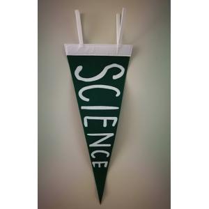 Custom Polyester Waterproof Felt Triangle Banner Silk Screen Printing