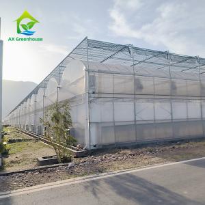 Buy cheap Plastic Poly Tunnel Agricultural Multi-span Blueberry Customized Greenhouse from wholesalers